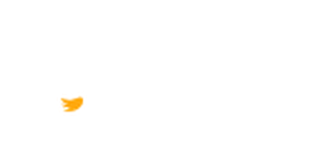 mascotas 24