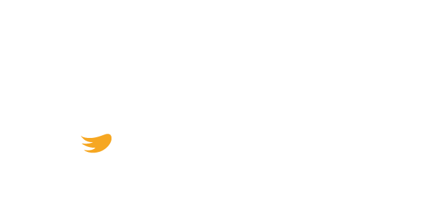 mascotas 24